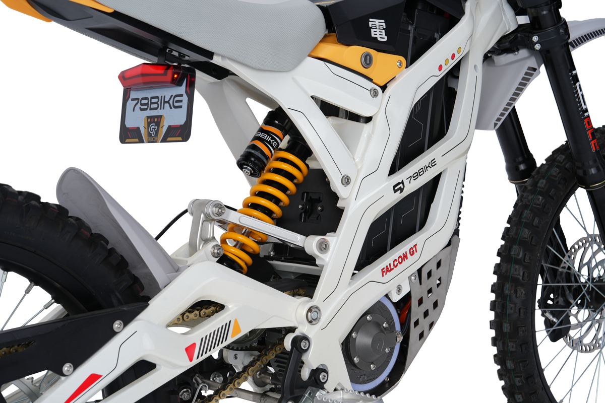 79BIKE Falcon GT Electric Dirt Bike