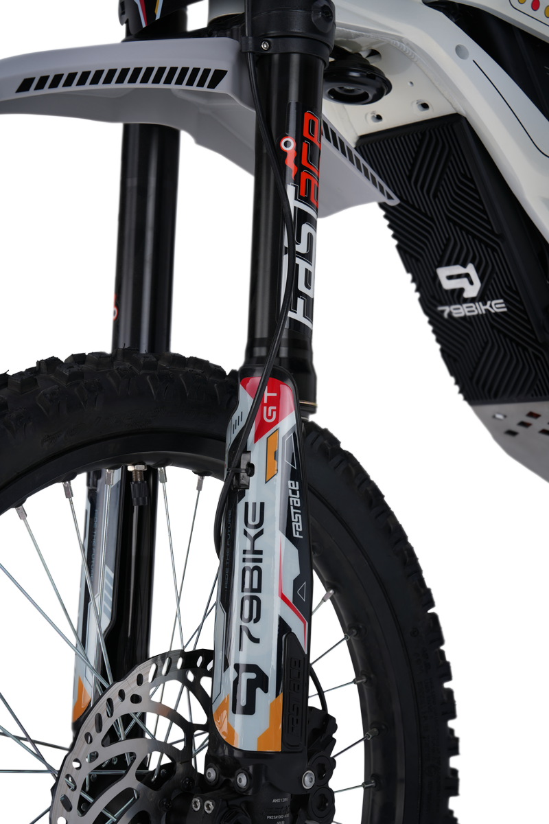 79BIKE Falcon GT Electric Dirt Bike