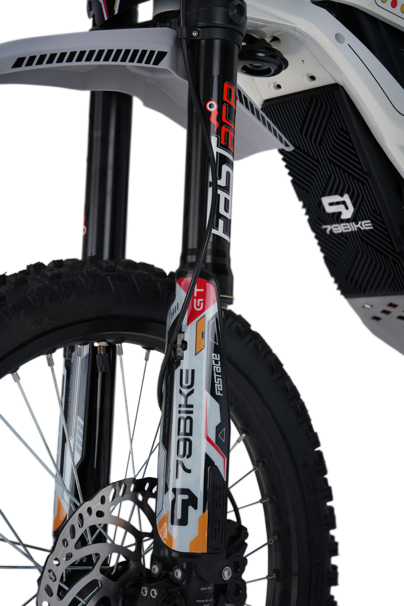 79BIKE Falcon GT Electric Dirt Bike