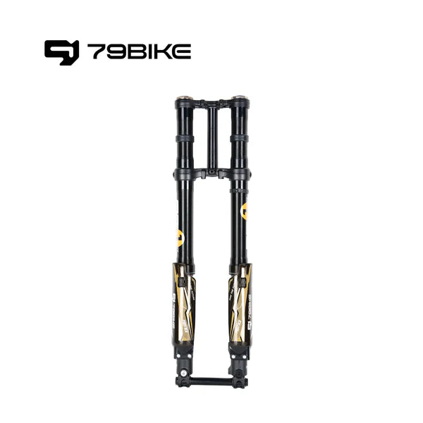 79Bike Falcon Pro FastAce ALX33RC 2.0 Fork (for Replacement)